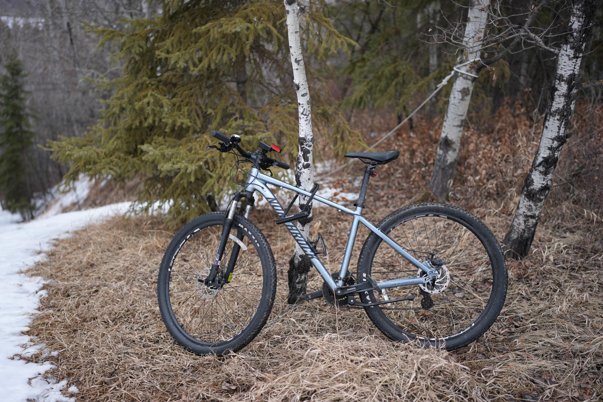 Northrock XC29 Silver, gray or bare metal