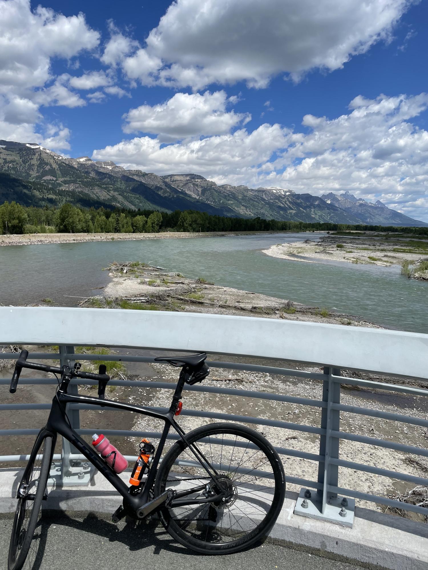 2020 Trek Emonda Black