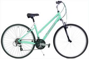 2019 Windsor Rover 2.0 Teal and Green