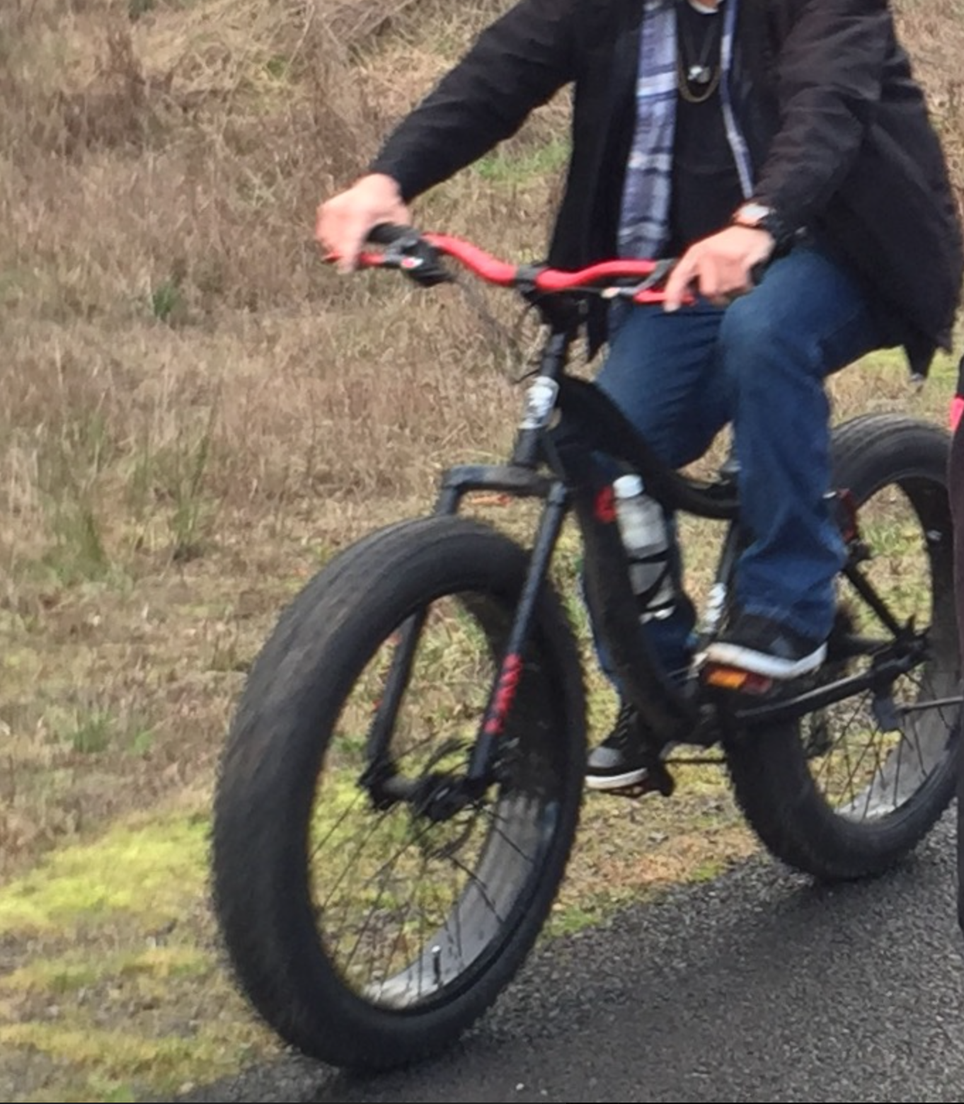 2016 Unknown Fat tire Black