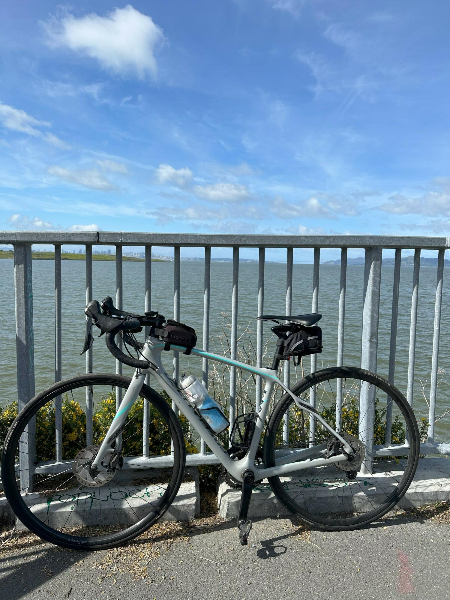 2016 Specialized Specialized Silver, gray or bare metal and Blue