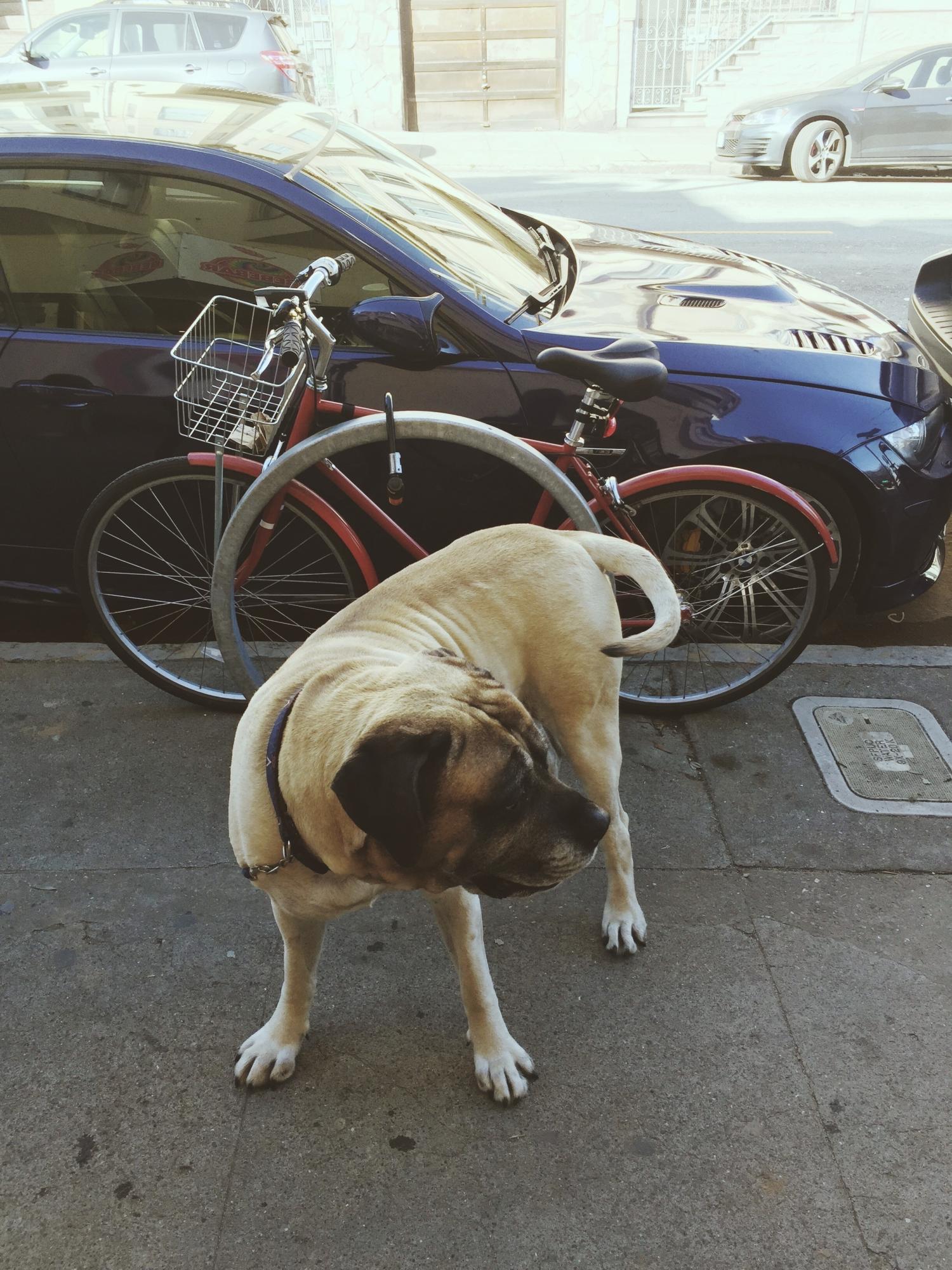 2012 PUBLIC Diamond frame Red with basket