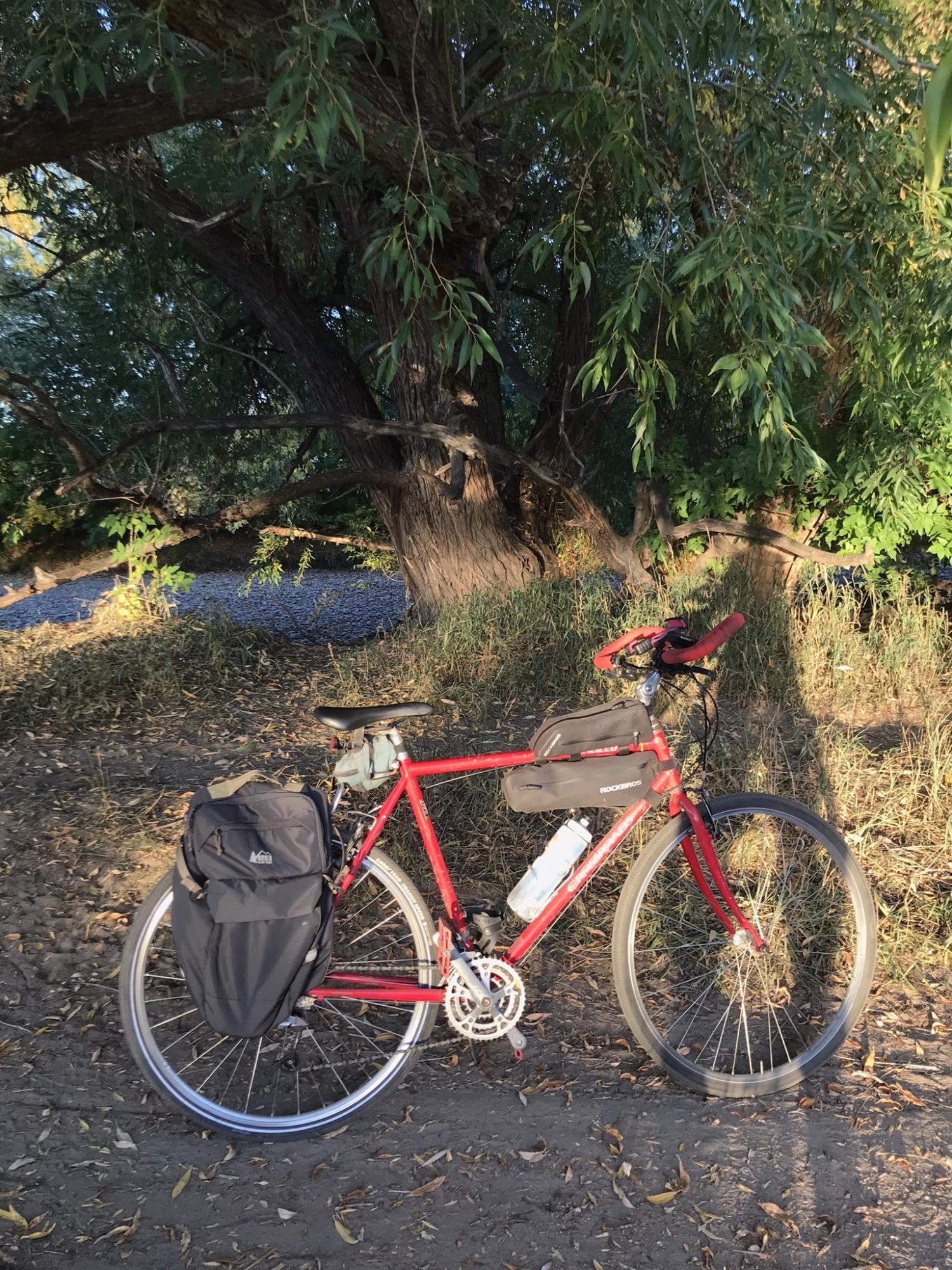 1994 Specialized Crossroads Red and White