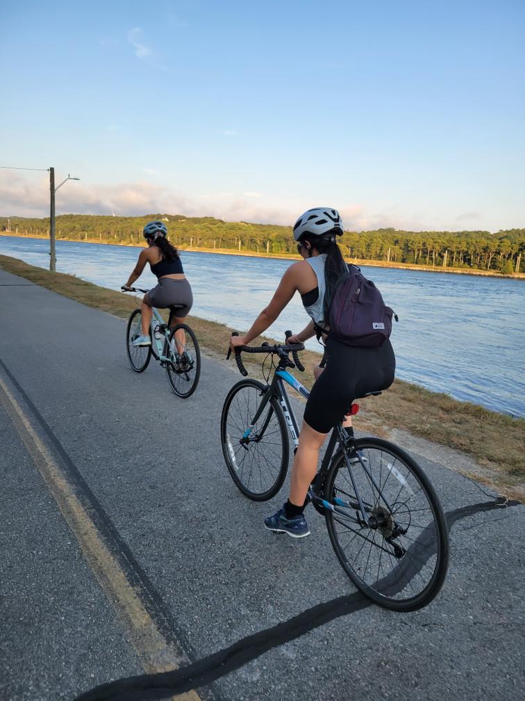 2017 Trek Domane AL 3 Silver, gray or bare metal and Blue
