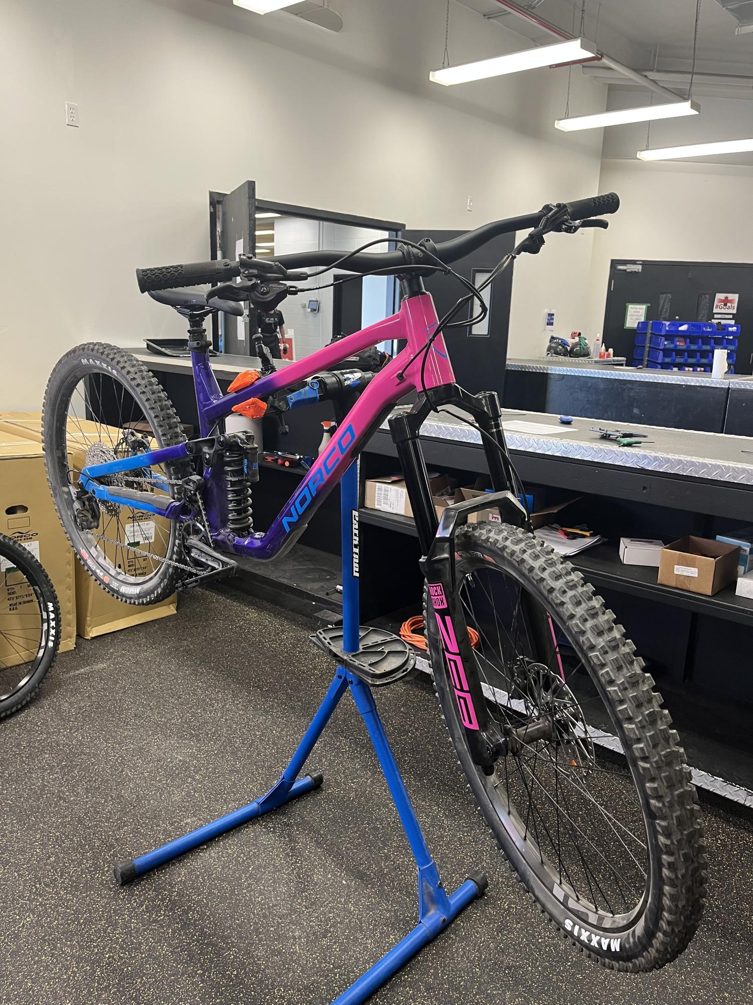 2022 Norco Bikes Shore Purple and Pink
