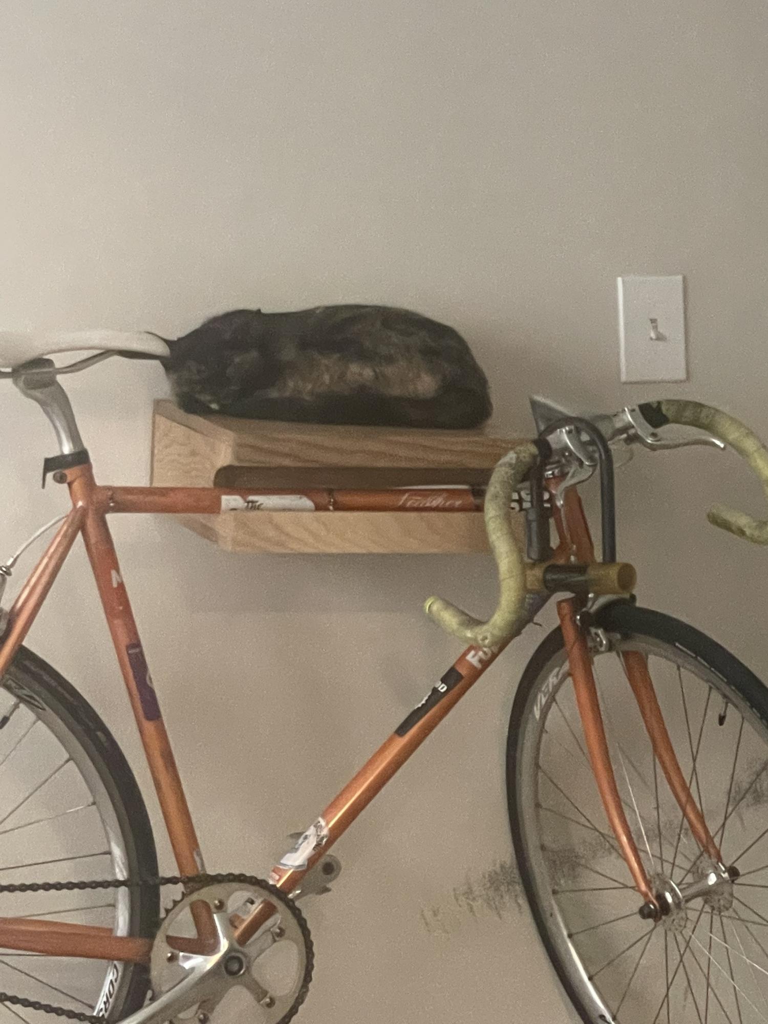 2014 Fuji Feather Orange