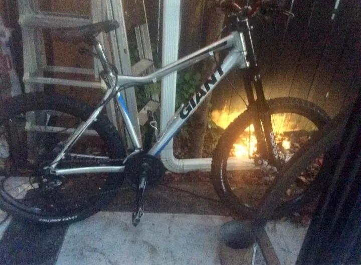 Giant Yukon (Brushed/Blue) Silver, gray or bare metal