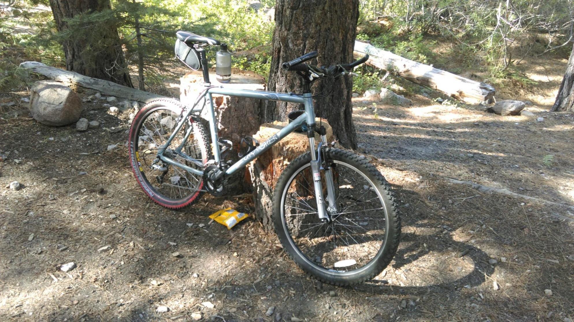 Gary Fisher Tassajara Silver, gray or bare metal