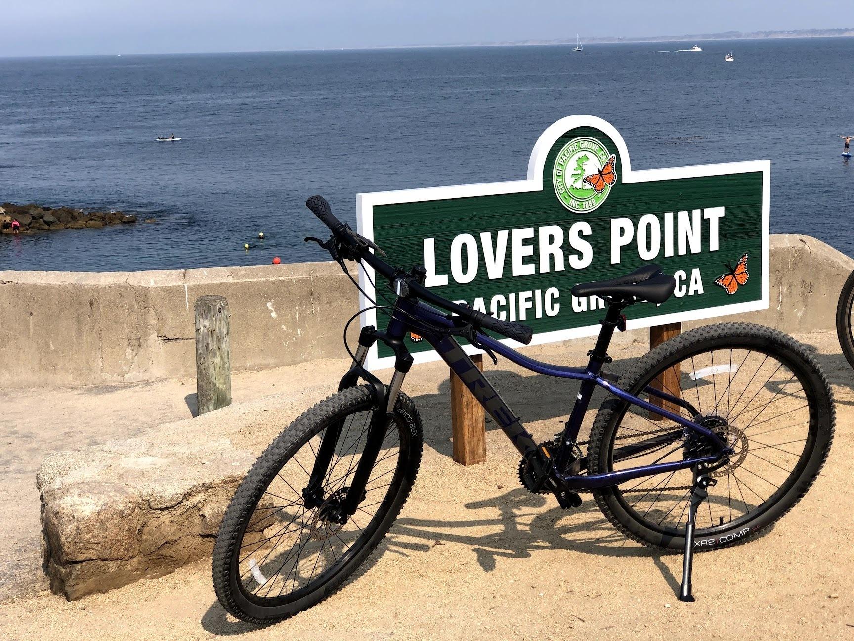 2021 Trek Marlin 5 Purple