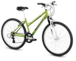 2008 Raleigh Mojave 2.0  Black