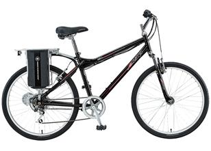 2008 Ezip Trailz  Black