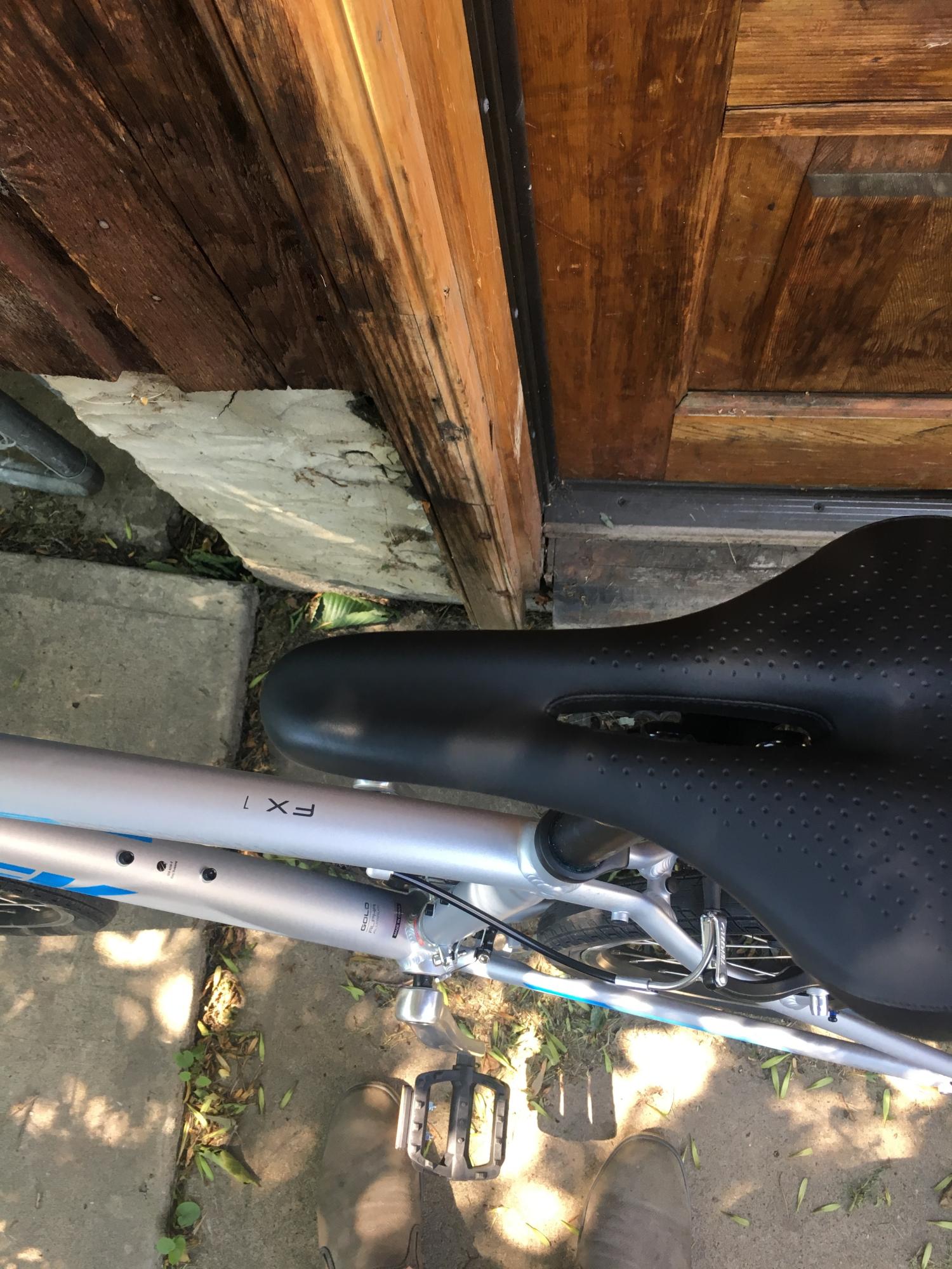 2019 Trek FX 1 Silver, gray or bare metal