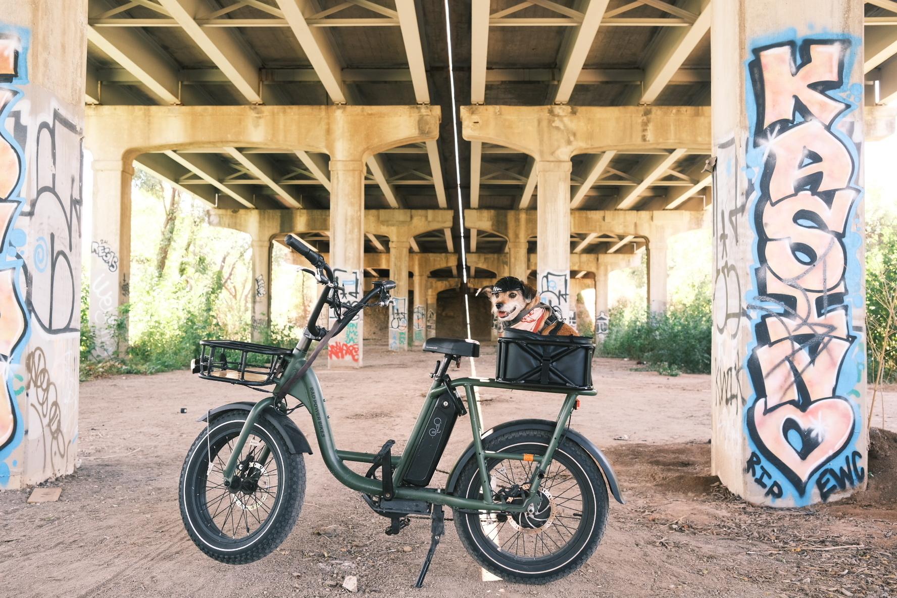 2023 Rad Power Bikes RadRunner2 Green