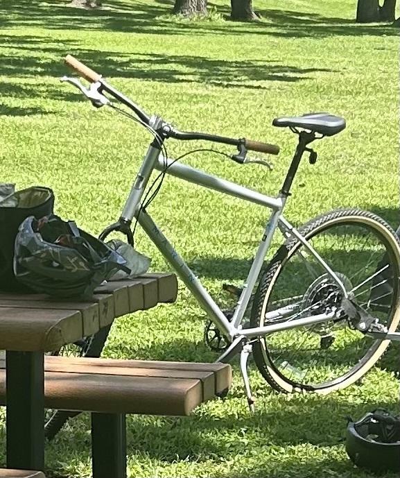 2022 Marin Bikes Kentfield 2 Silver, gray or bare metal