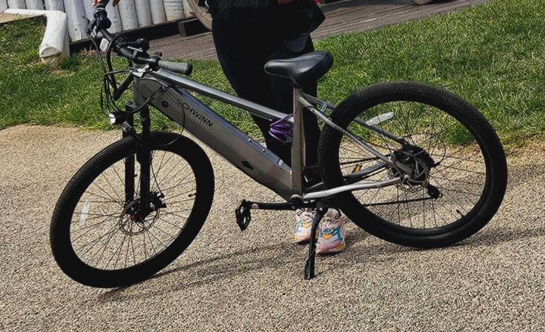 2023 Schwinn Marshall Silver, gray or bare metal