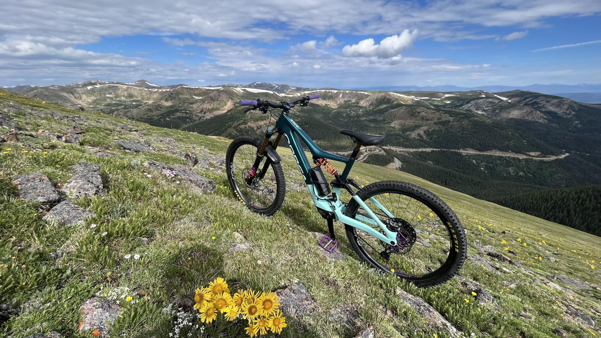 2021 Orbea Rise m-team Green