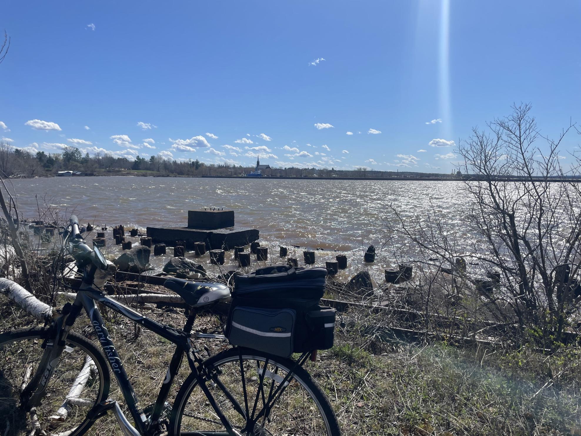 Gary Fisher Back wheel rack with black basket and... Silver, gray or bare metal
