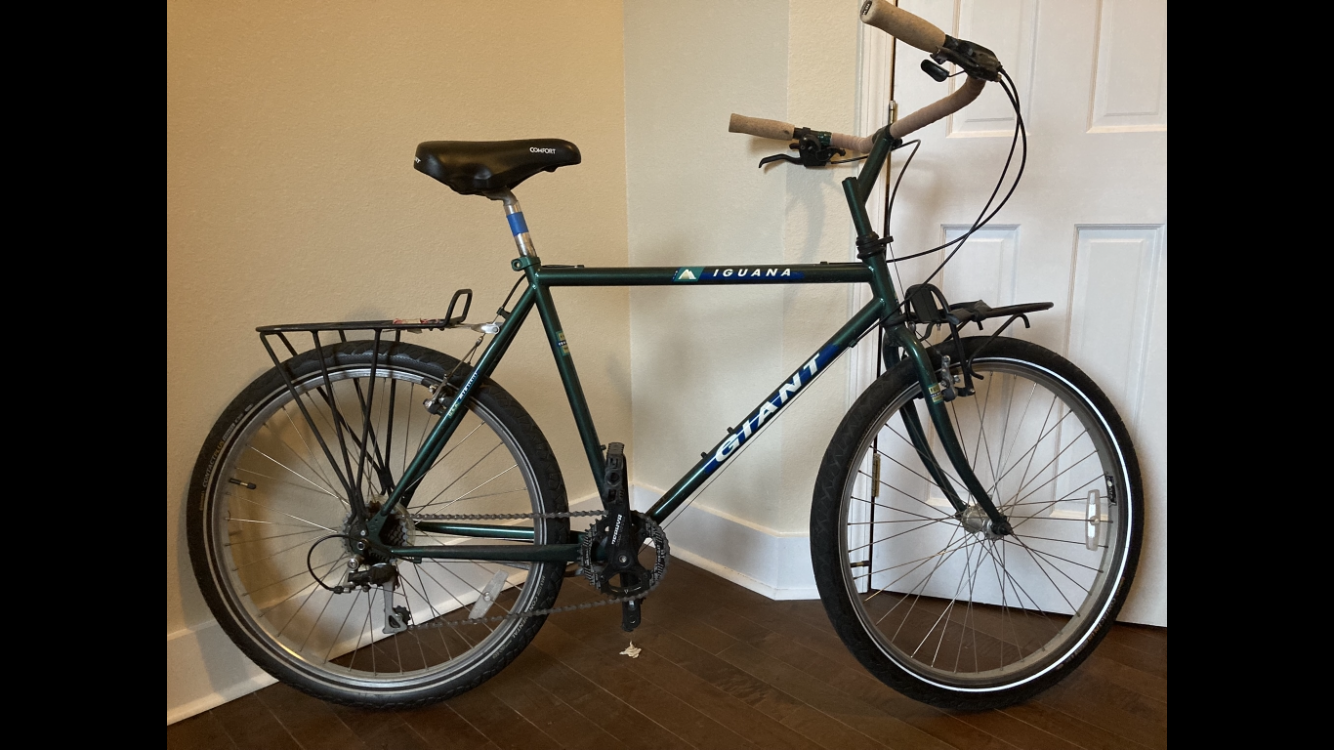 1993 Giant Iguana Green