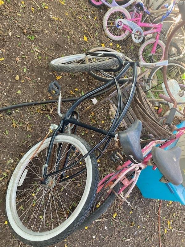 Firmstrong Mens Single speed beach cruiser Black