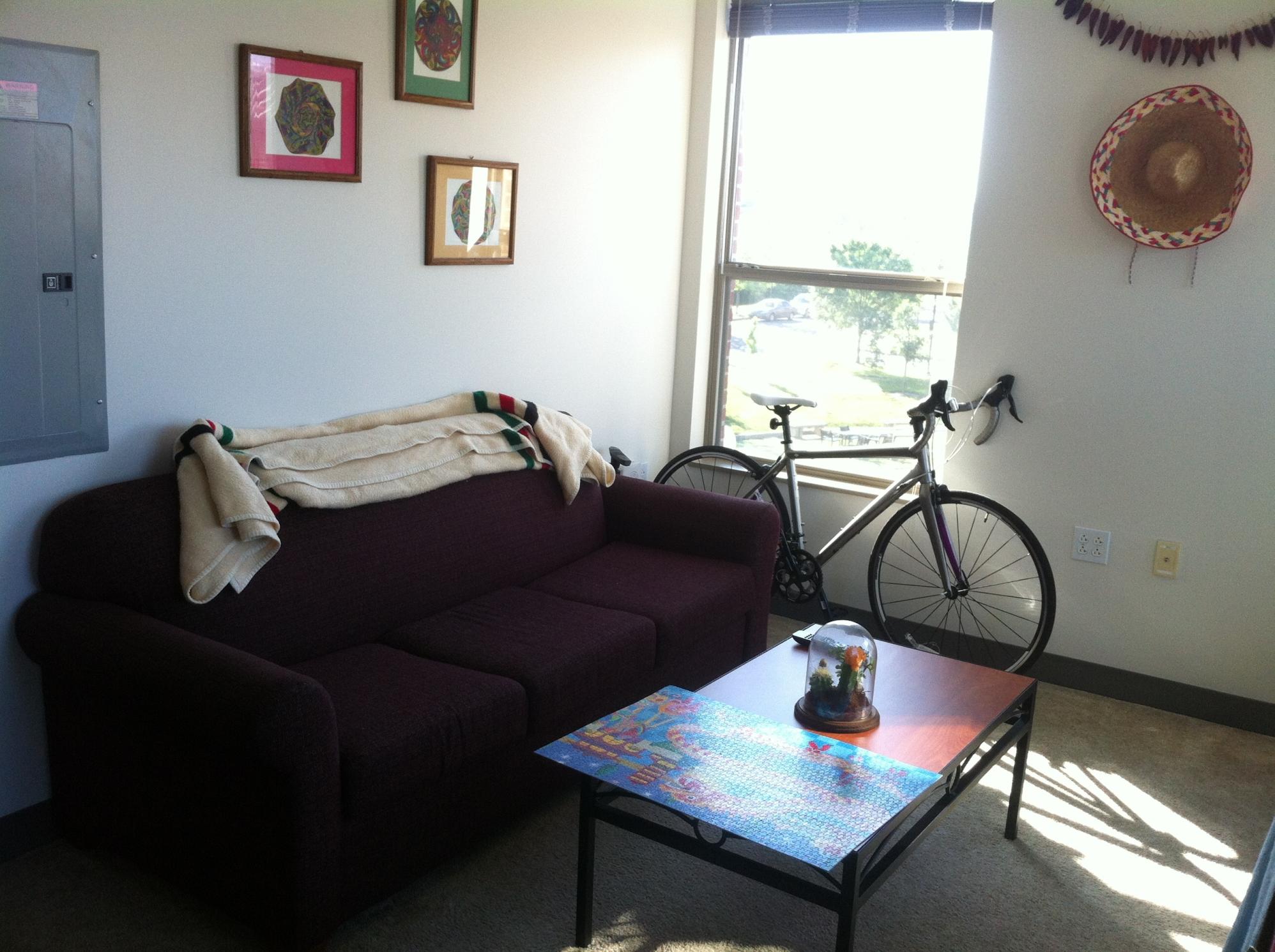 2014 Trek Lexa S Silver or Gray