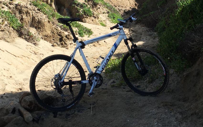 Giant White and Blue