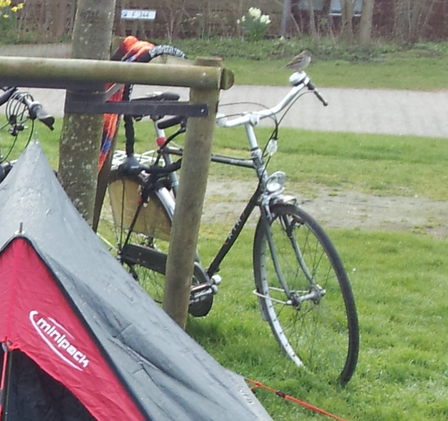 RIH RIH Sport Silver or Gray