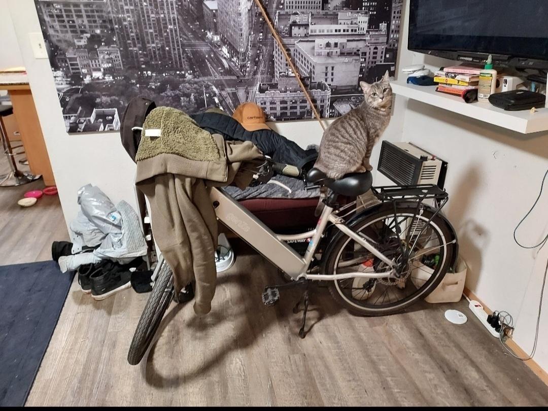 GenZe Silver, gray or bare metal