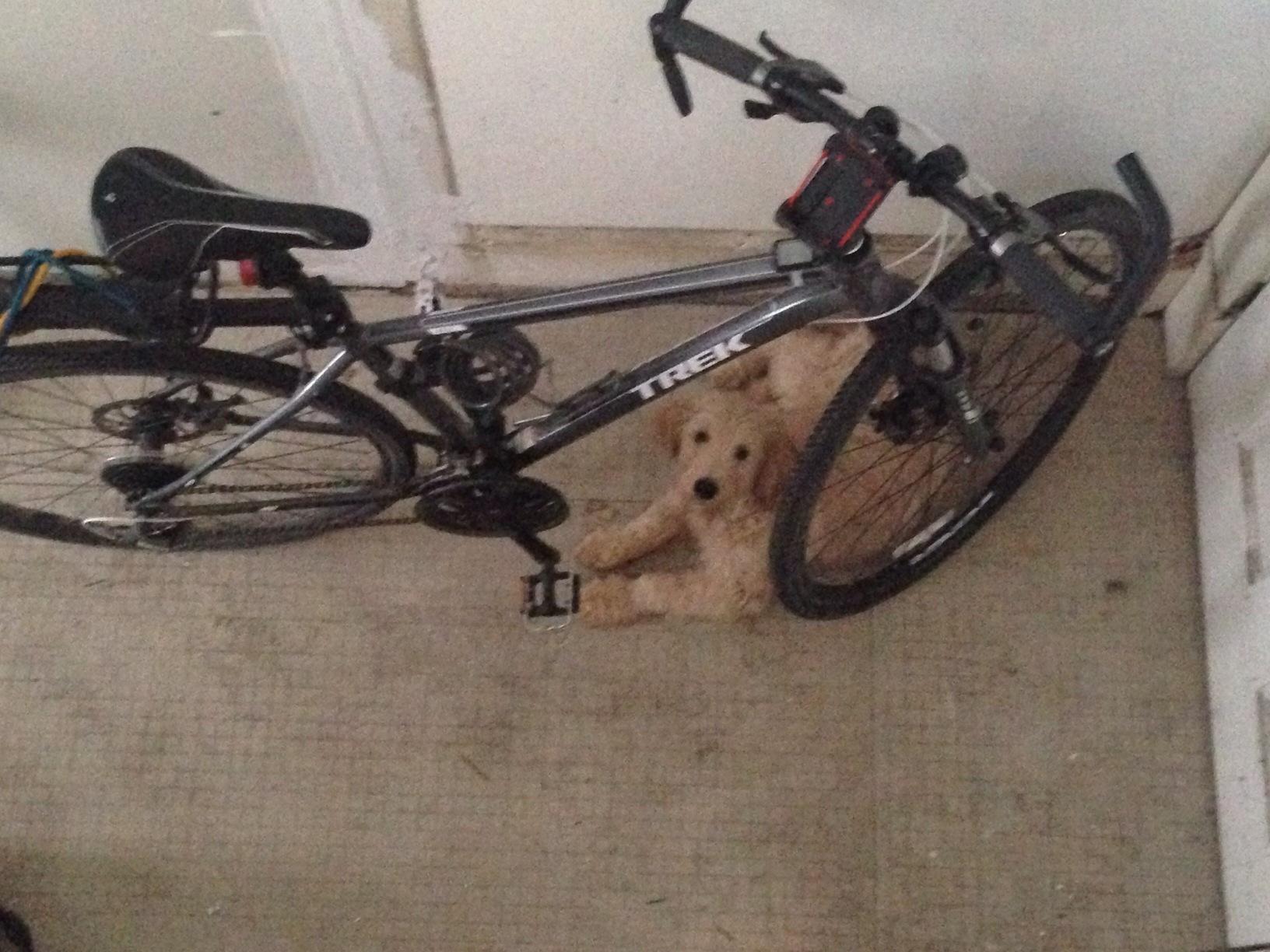 2012 Trek 8.3 DS 19 Graphite Black