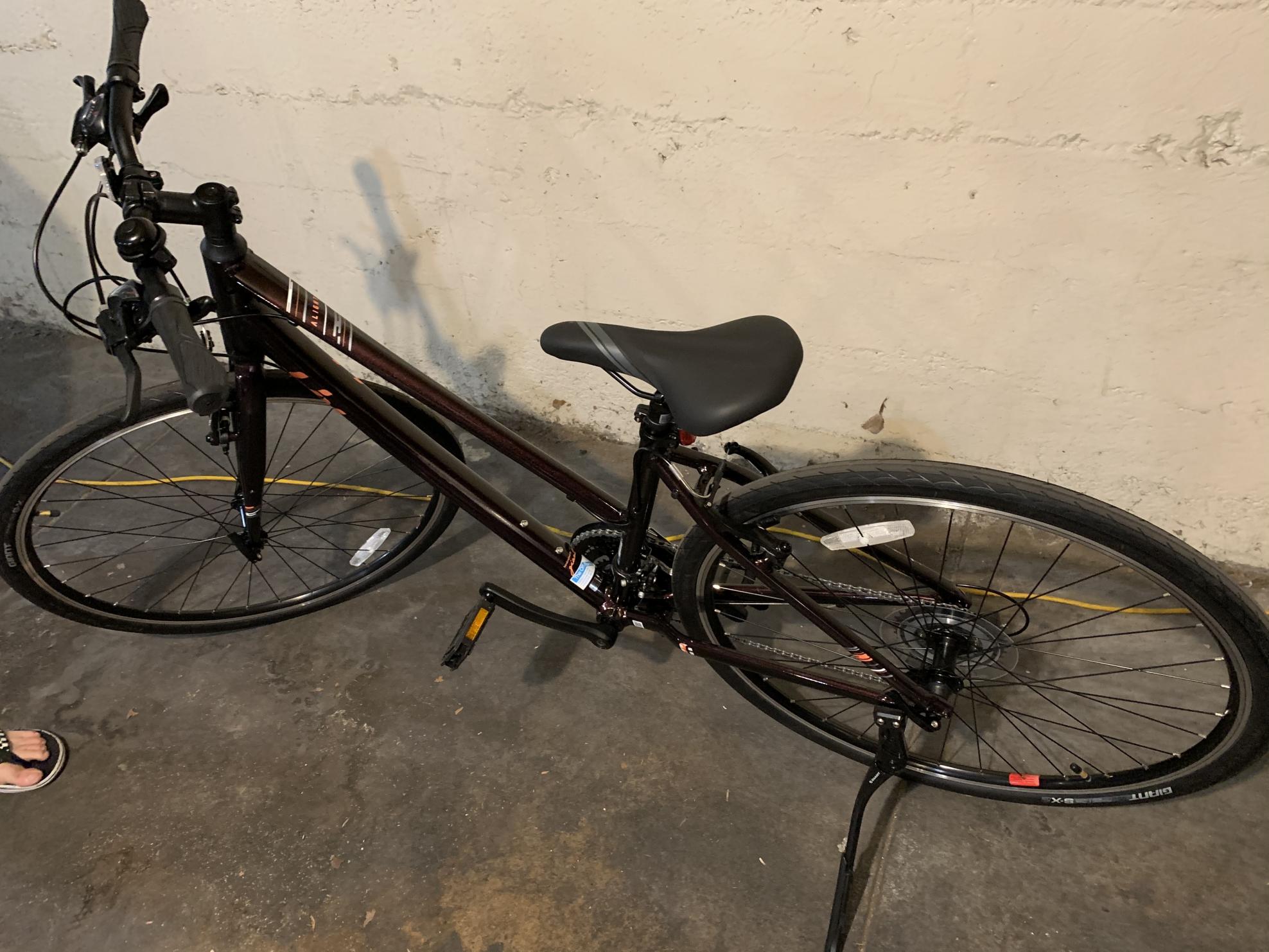 2021 Giant A Light 3 Small Purple