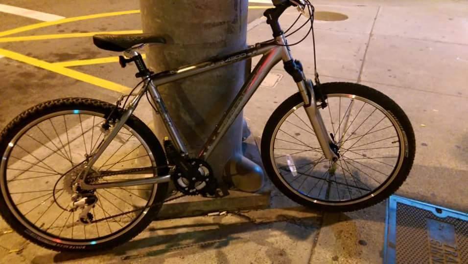 Trek 4300 Silver or Gray