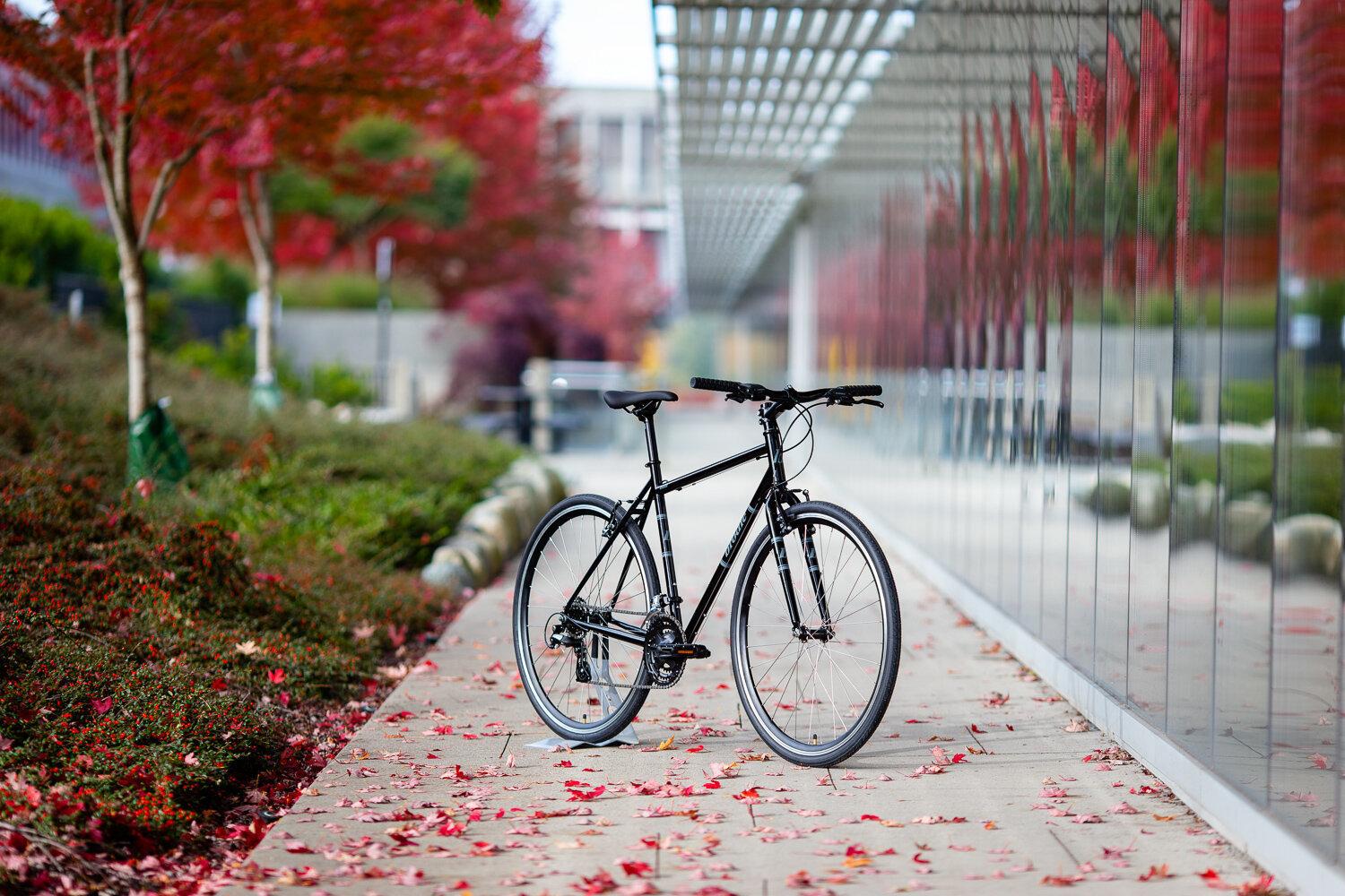 2018 Brodie Bolt Black