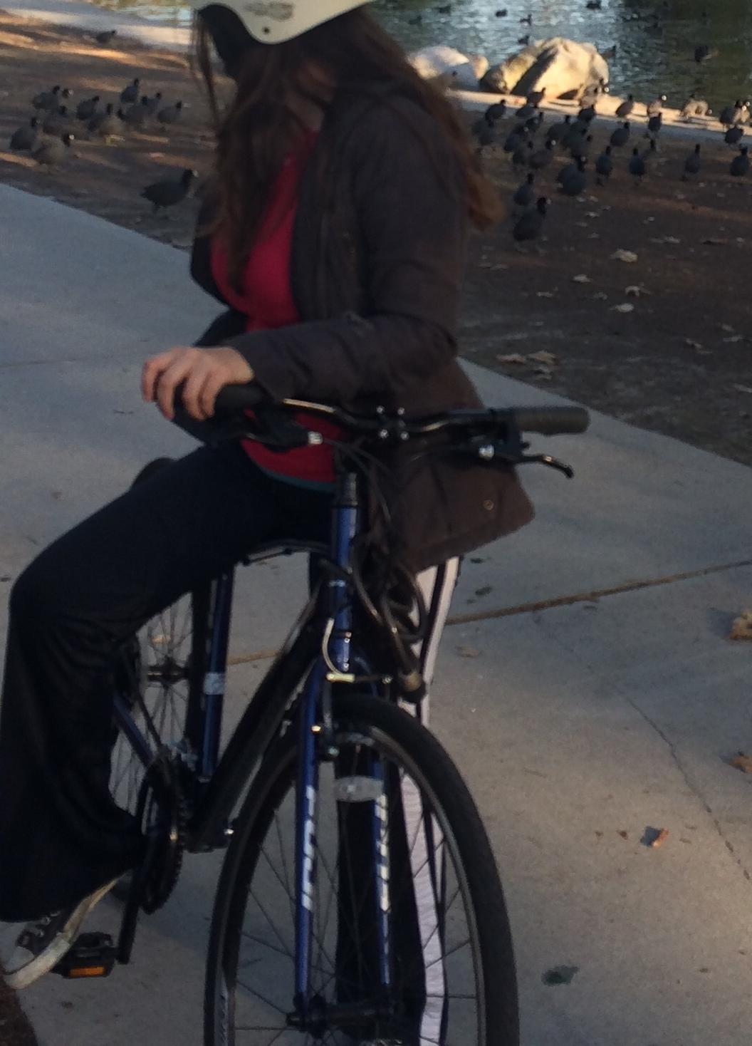 2013 Fuji Absolute 2.1 Blue