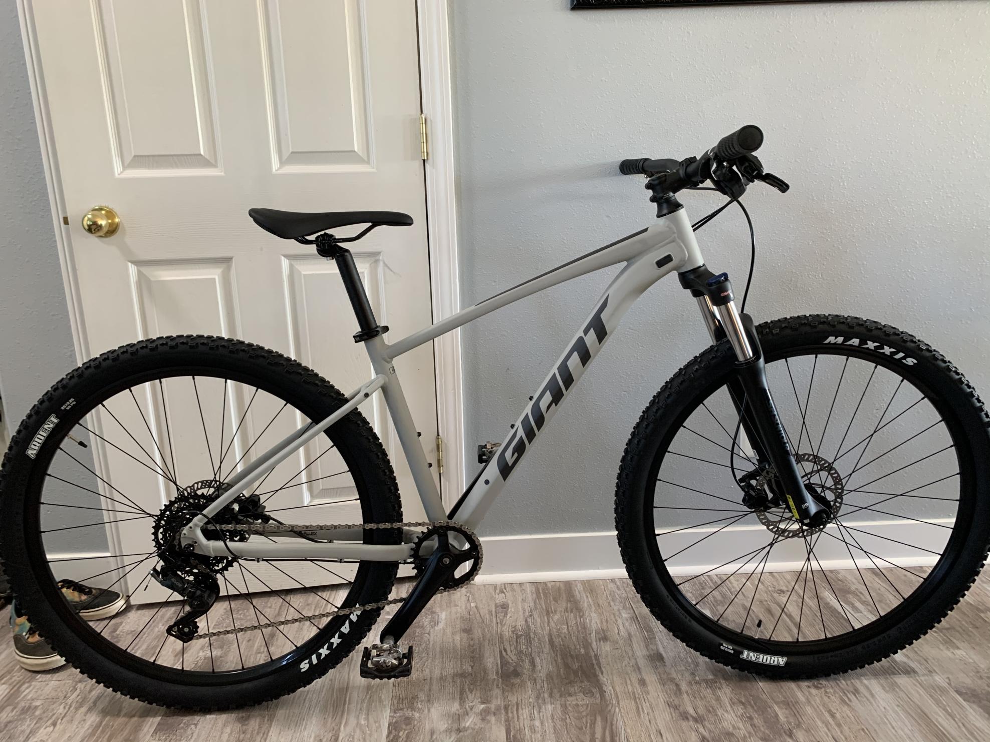 2020 Giant Talon Silver, gray or bare metal