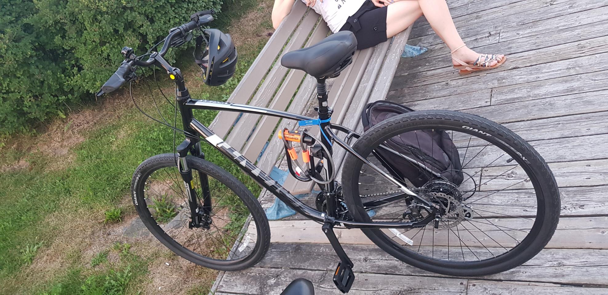 2021 Giant Cypress DX Black and Silver, gray or bare metal