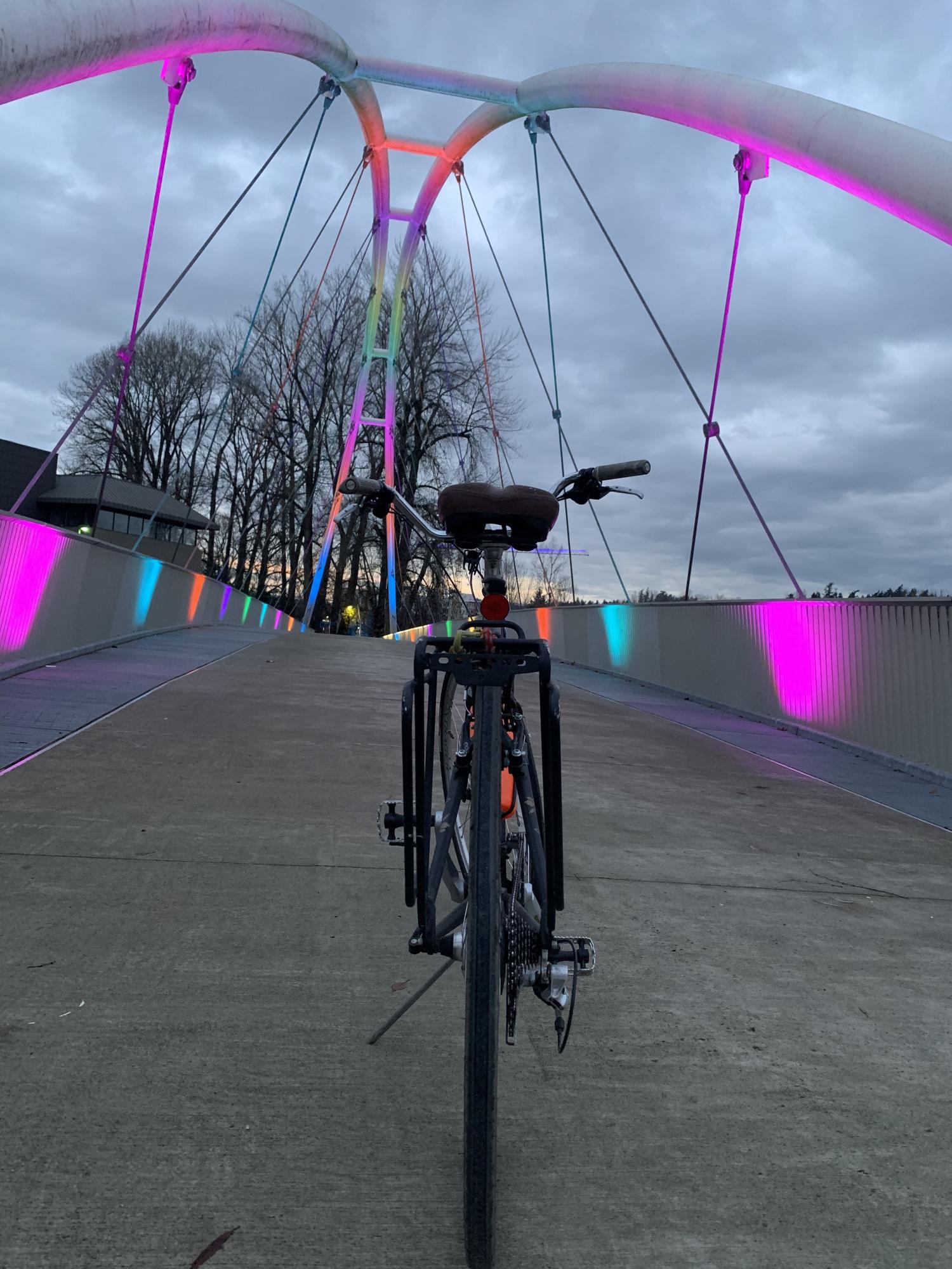 Trek 7.5 FX Disc Black