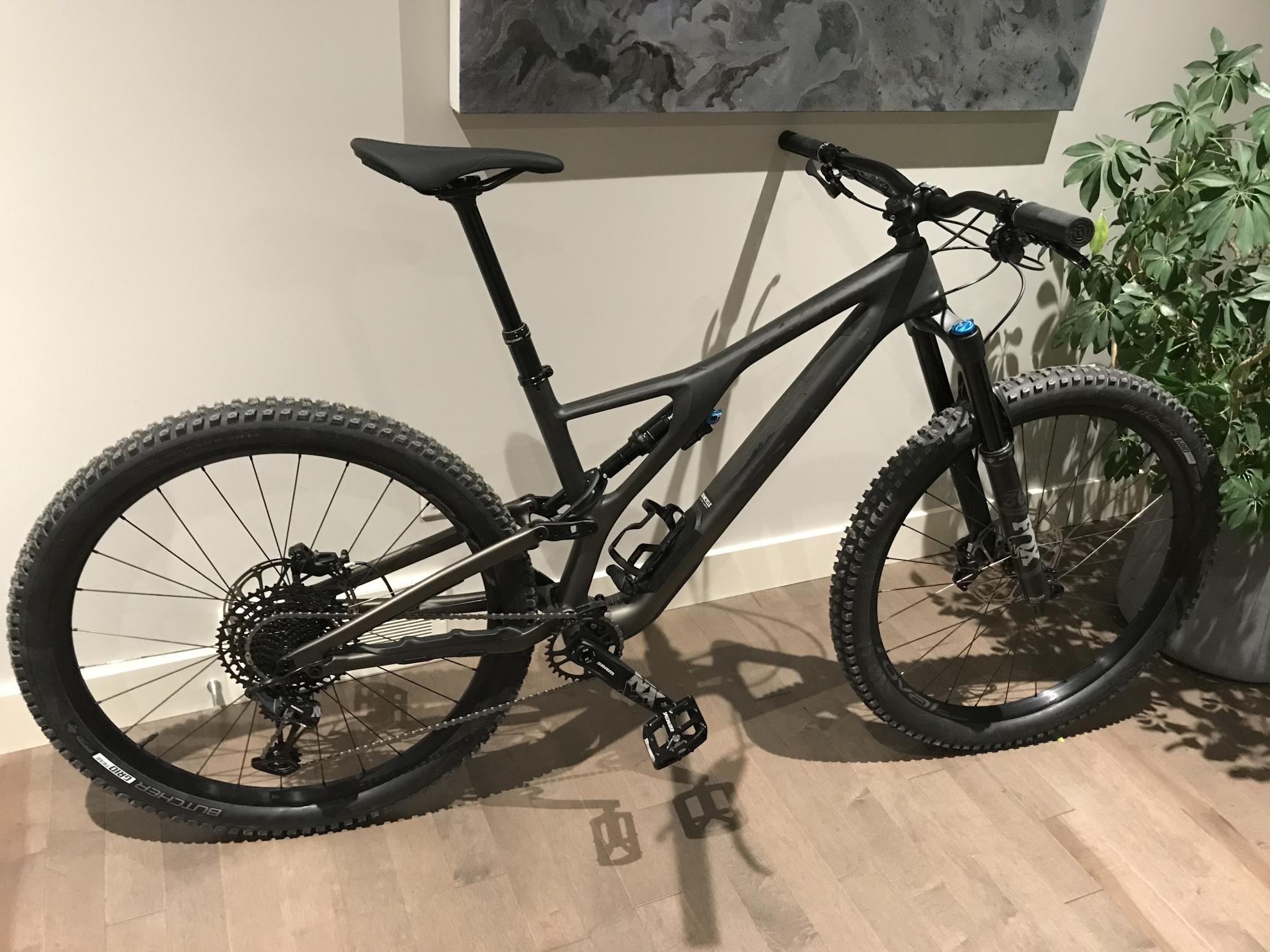 2020 Specialized SJ EVO COMP CARBON 29 Silver, gray or bare metal