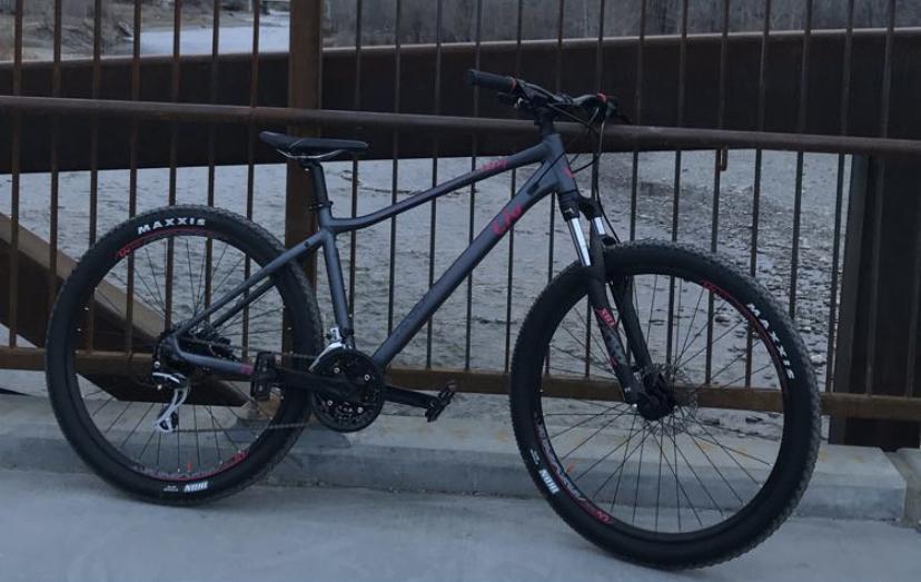 2019 Liv Tempt 3 Silver, gray or bare metal and Pink