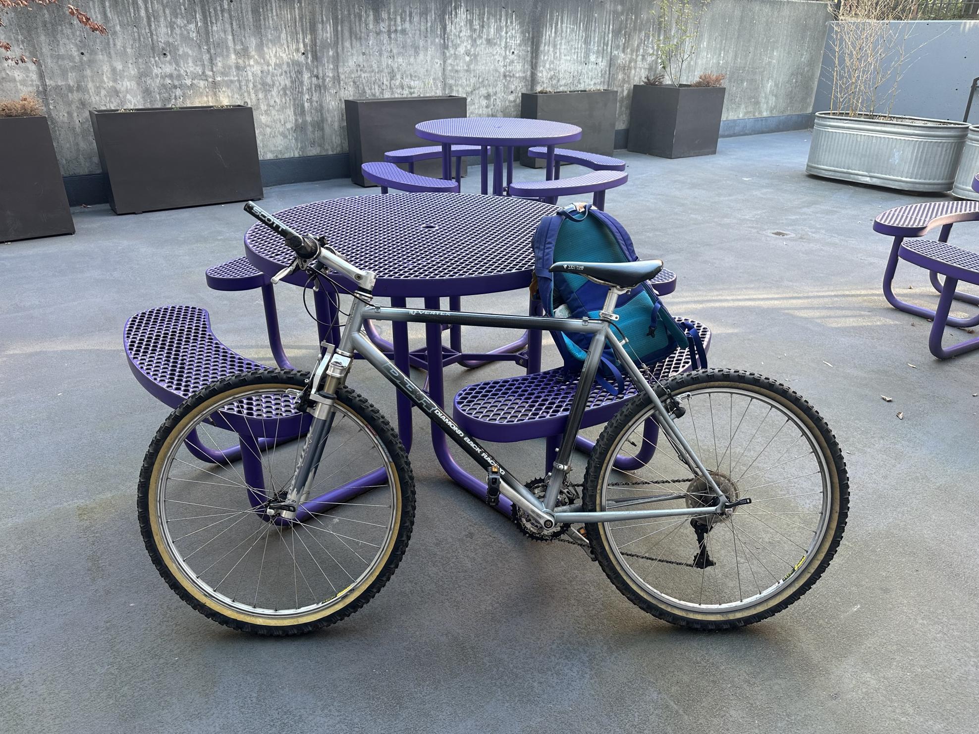 Diamondback ? Silver, gray or bare metal and Black