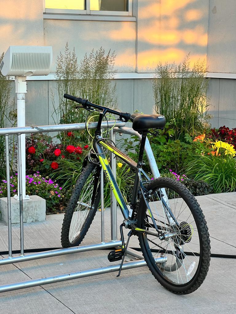 Movelo 56200C Black and Green