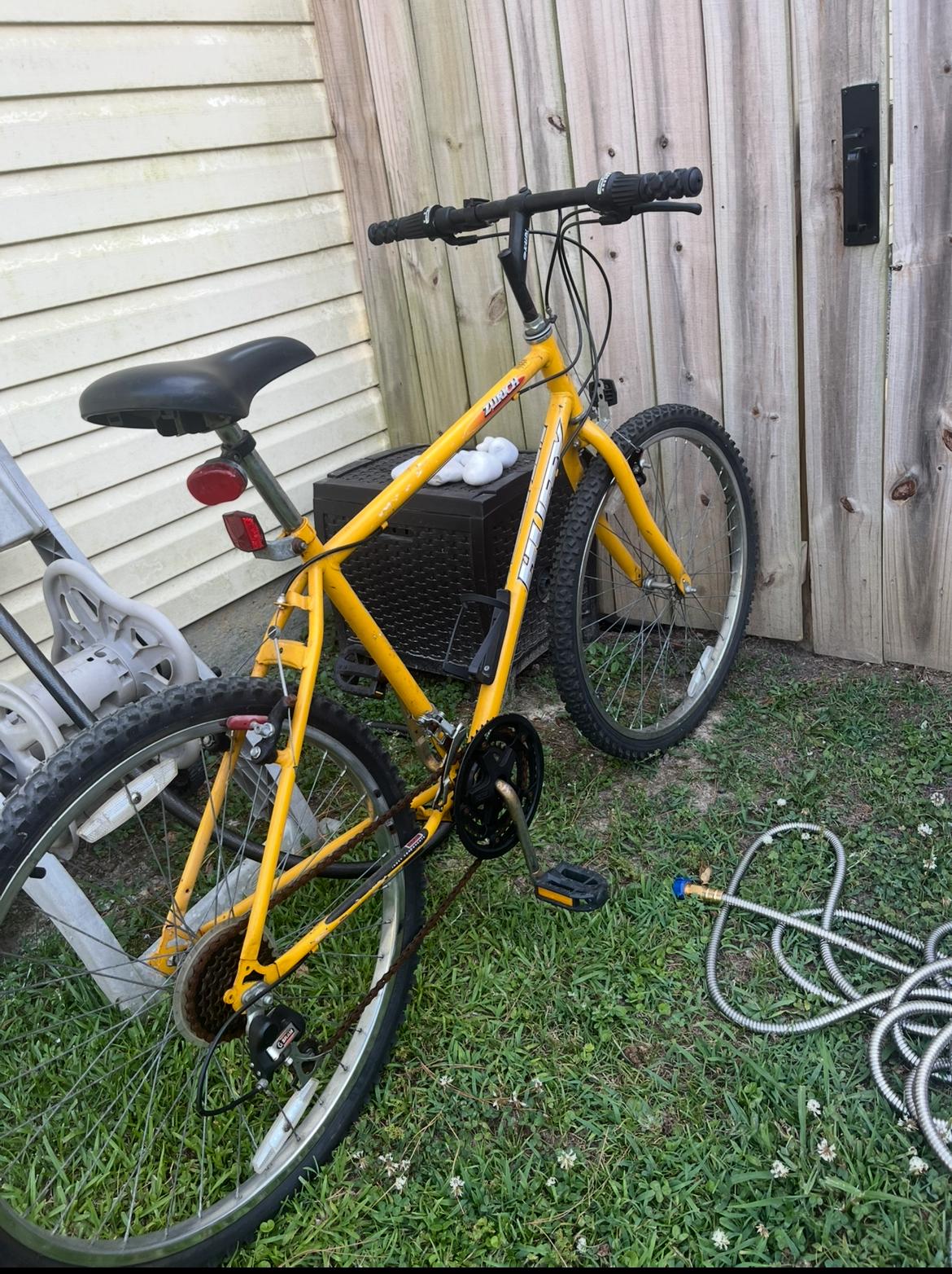Other Yellow or Gold