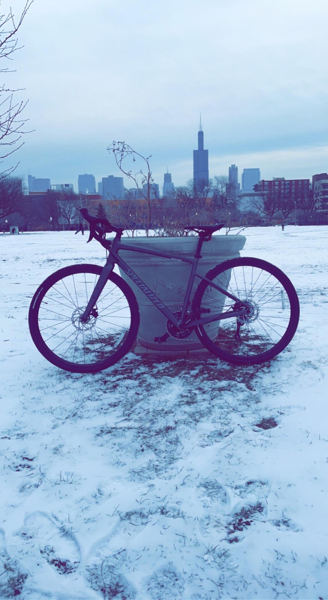 2022 Specialized Silver, gray or bare metal