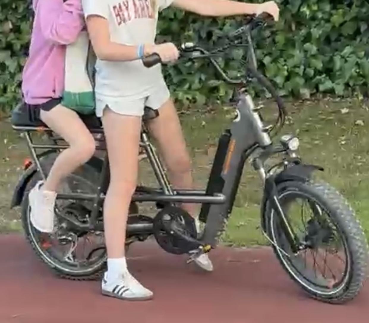 Rad Power Bikes RadRunner 3 Plus Silver, gray or bare metal and Black