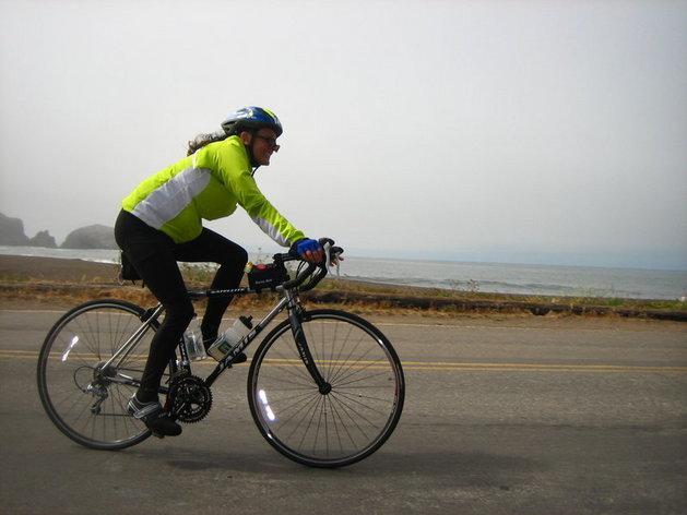 2008 Jamis Satellite Silver or Gray