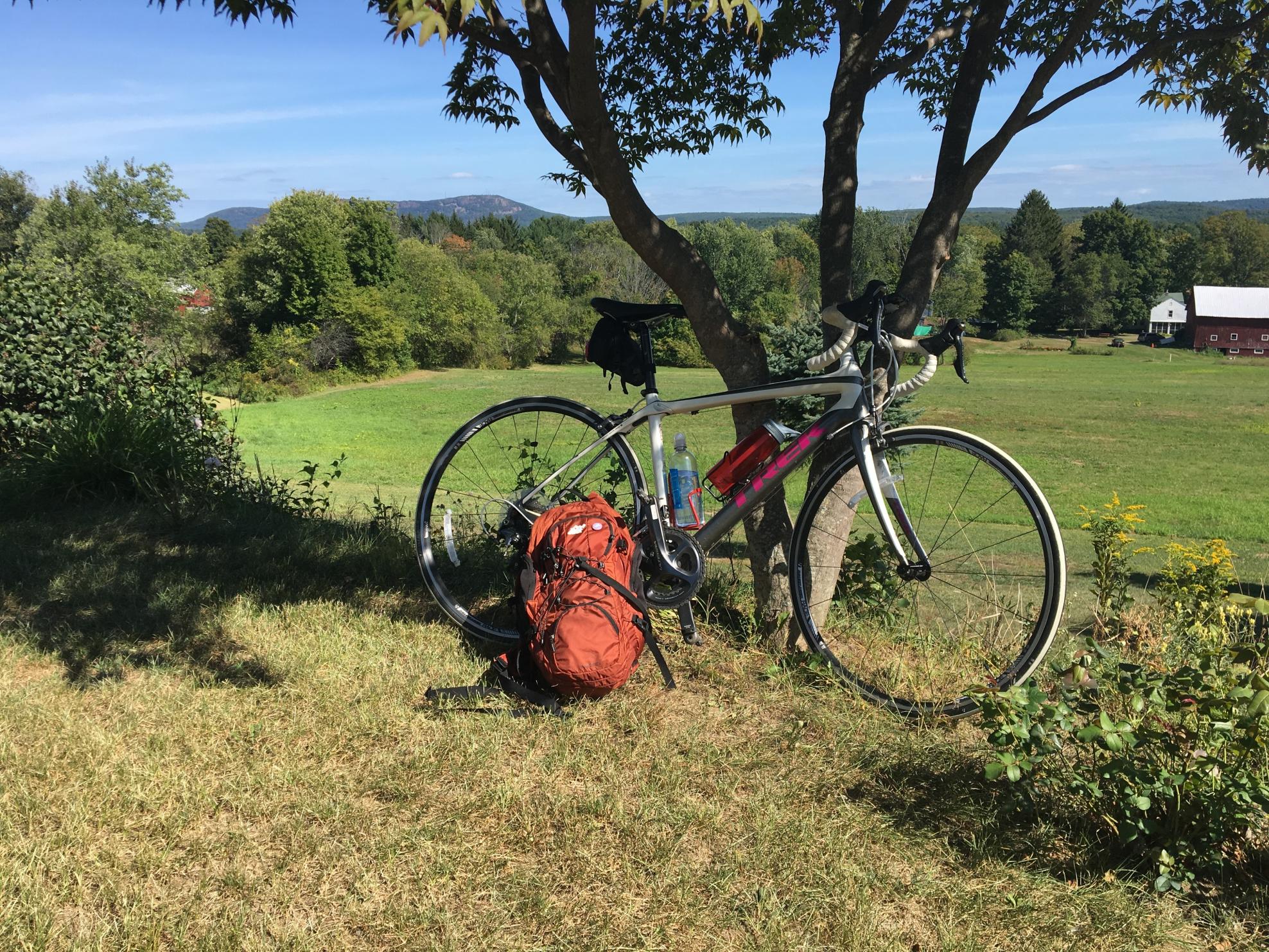 2014 Trek Domane 4.7 WSD White, Purple, and Silver or Gray