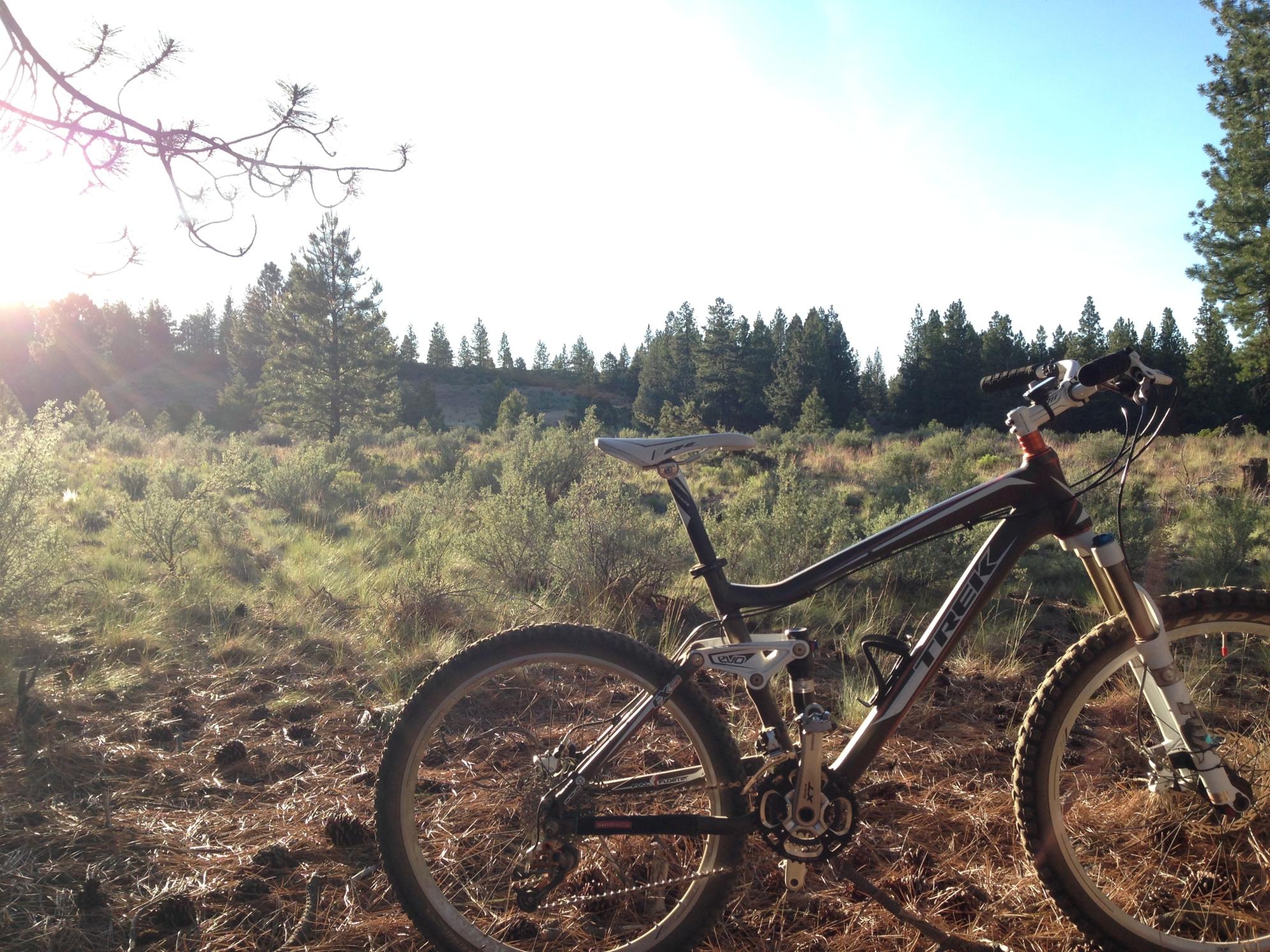 2010 Trek Fuel EX 9 Yellow or Gold and White