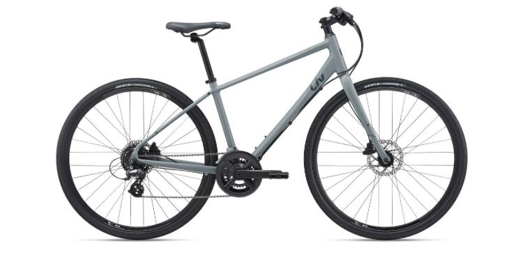 2021 Liv Alight 2 DD disk (aluxx grade aluminu... Silver, gray or bare metal