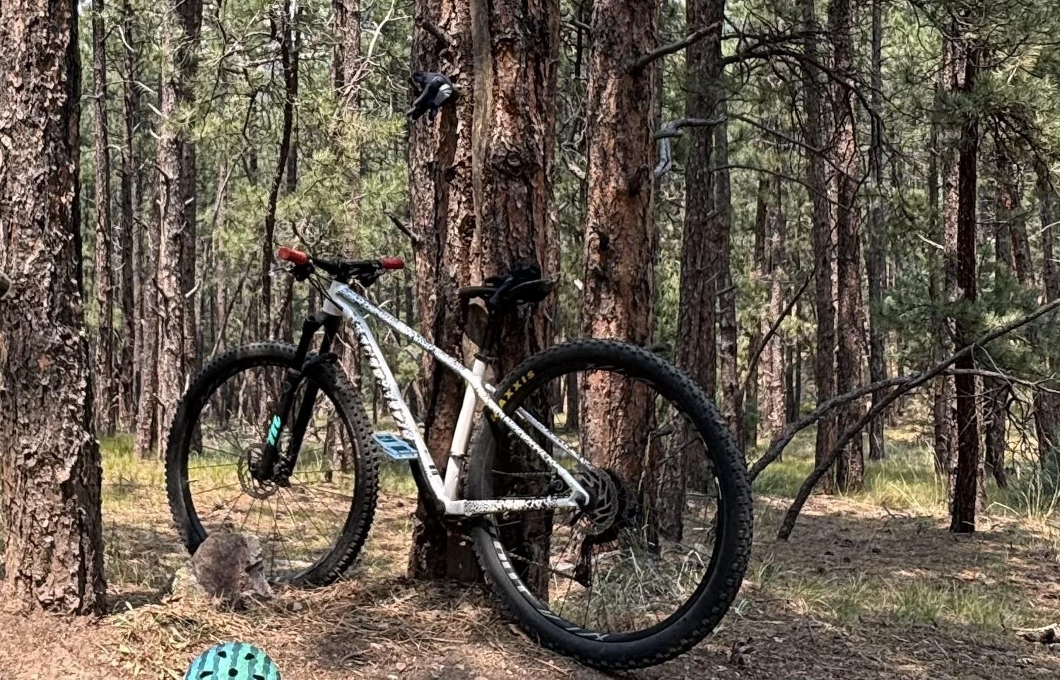 Specialized Rockhopper Women's White