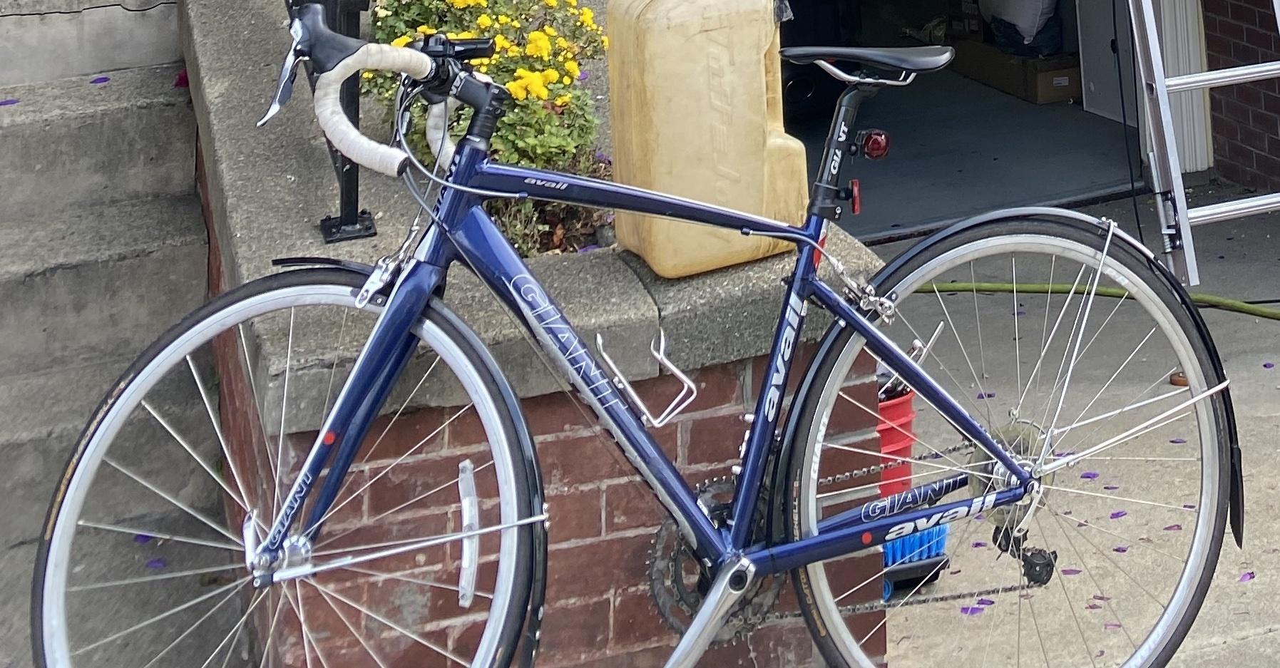 2011 Giant Avail 1 (Navy Blue/ White/ Silver) Blue