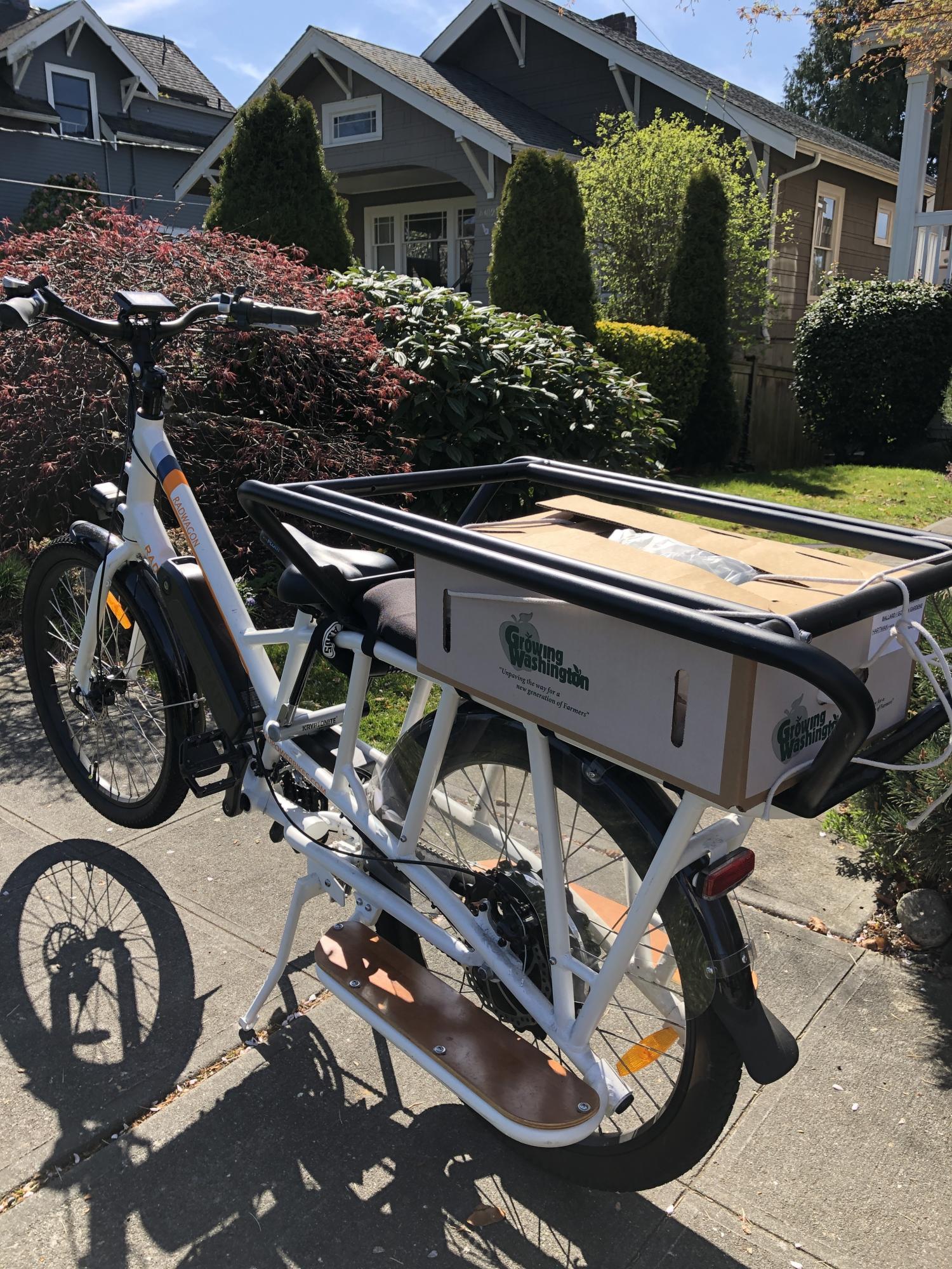 2018 Rad Power Bikes wagon/ white bike frame black kid cag... White