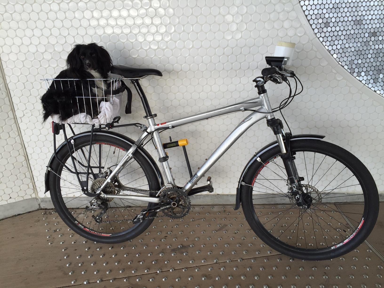 2010 Specialized Stumpjumper Silver or Gray